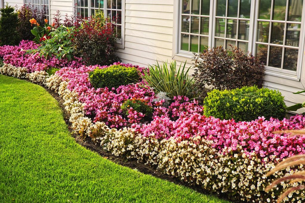 Did You Know Landscaping Can Increase Your Property Value?